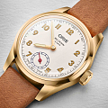 Часы Oris Big Crown Wings Of Hope Gold Limited Edition 01 401 7782 6081-Set фото 4